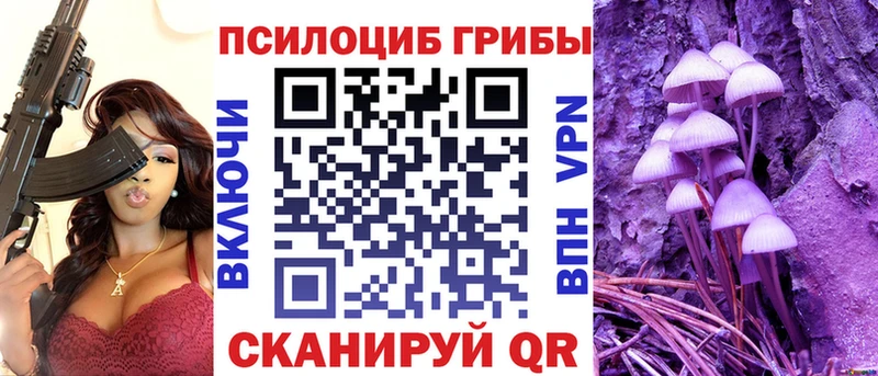 Псилоцибиновые грибы мицелий  blacksprut tor  Уварово  купить наркоту 