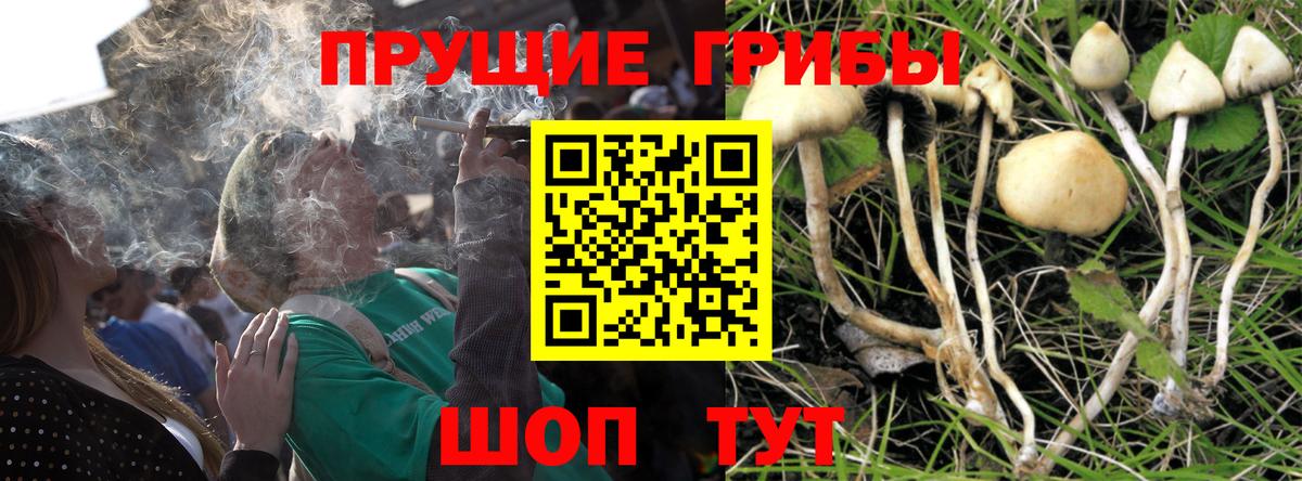 Уварово  Галлюциногенные грибы ЛСД  Вход с VPN 