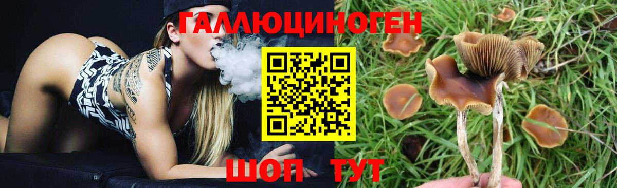 Псилоцибиновые грибы Cubensis Уварово